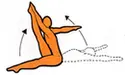 Ejercicios gimnasia  para escolioisis