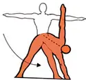 ejercicio gimnasia adelgazante