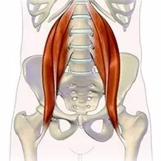 psoas iliaco