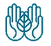 Reiki Quito Ecuador Reiki Quito Ecuador